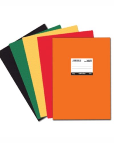 ΤΕΤΡΑΔΙΑ SALKO ΠΛΑΣΤΙΚΑ EX-COLOR  ΧΡΩΜΑΤΙΣΤΑ 17Χ25 Φ.50  ΡΙΓΕ