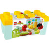 Lego Duplo My First Organic Garden  (10984)