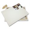 ΤΕΛΑΡΟ ΖΩΓΡΑΦΙΚΗΣ ΚΑΜΒΑΣ COLORFIX 20x20cm