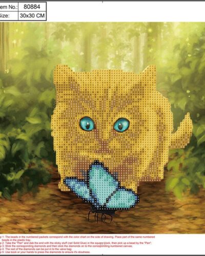 ΚΑΤΑΣΚΕΥΕΣ DIAMOND PAINTING 30x30 80884