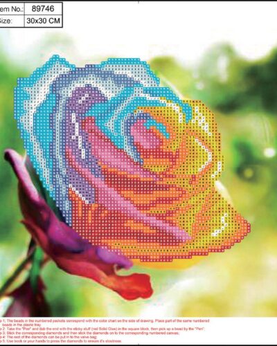 ΚΑΤΑΣΚΕΥΕΣ DIAMOND PAINTING 30x30 89746