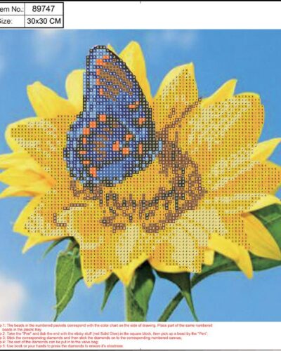 ΚΑΤΑΣΚΕΥΕΣ DIAMOND PAINTING 30x30 89747