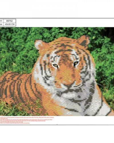 ΚΑΤΑΣΚΕΥΕΣ DIAMOND PAINTING 30x40 89752