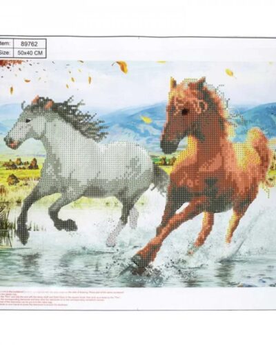 ΚΑΤΑΣΚΕΥΕΣ DIAMOND PAINTING 40x50 89762