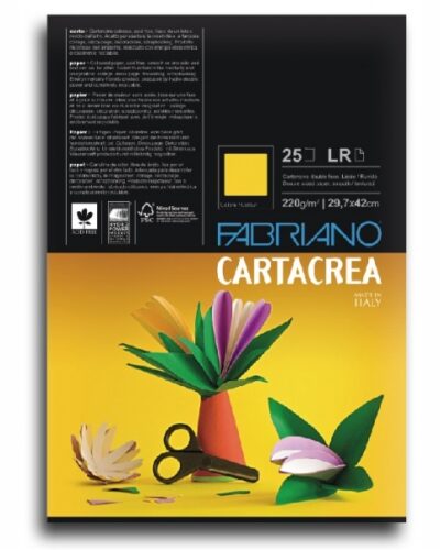 ΧΑΡΤΟΝΙΑ FABRIANO ELLE ERRE A4 ΧΡΩΜΑΤΙΣΤΑ 220gr (πακέτο 50 φ.)