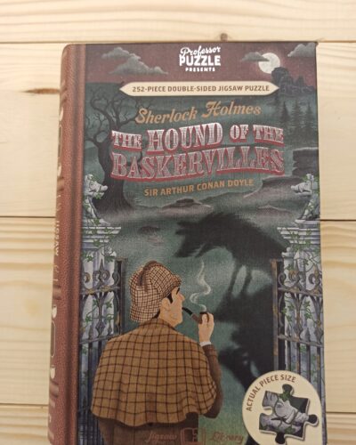 Sherlock Holmes Professor Puzzle