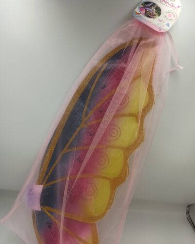 ΧΡΩΜΑΤΙΣΤΑ ΦΤΕΡΑ ΠΕΤΑΛΟΥΔΑΣ