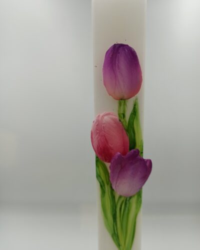 ΛΑΜΠΑΔΑ ΠΛΑΚΕ ΤΟΥΛΙΠΑ