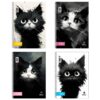 Τετραδια Salko Σπιραλ Kittie 17×25 2 Θεμ.