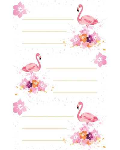 ΕΤΙΚΕΤΕΣ ΣΧΟΛΙΚΕΣ BSB ΑΠΛΕΣ FLAMINGOS (3 φύλλα)