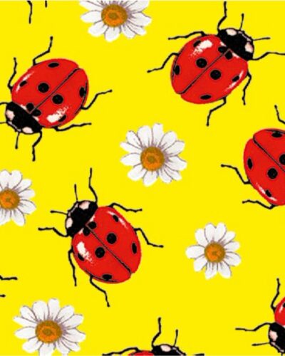 ΦΩΤΟΚΑΡΤΟΝ 50Χ70 ΠΑΣΧΑΛΙΤΣΕΣ