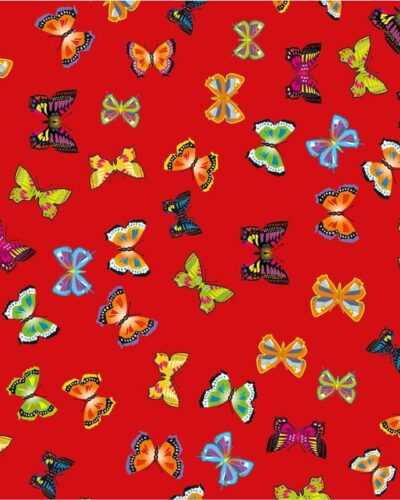 ΦΩΤΟΚΑΡΤΟΝ 50Χ70 ΠΕΤΑΛΟΥΔΕΣ