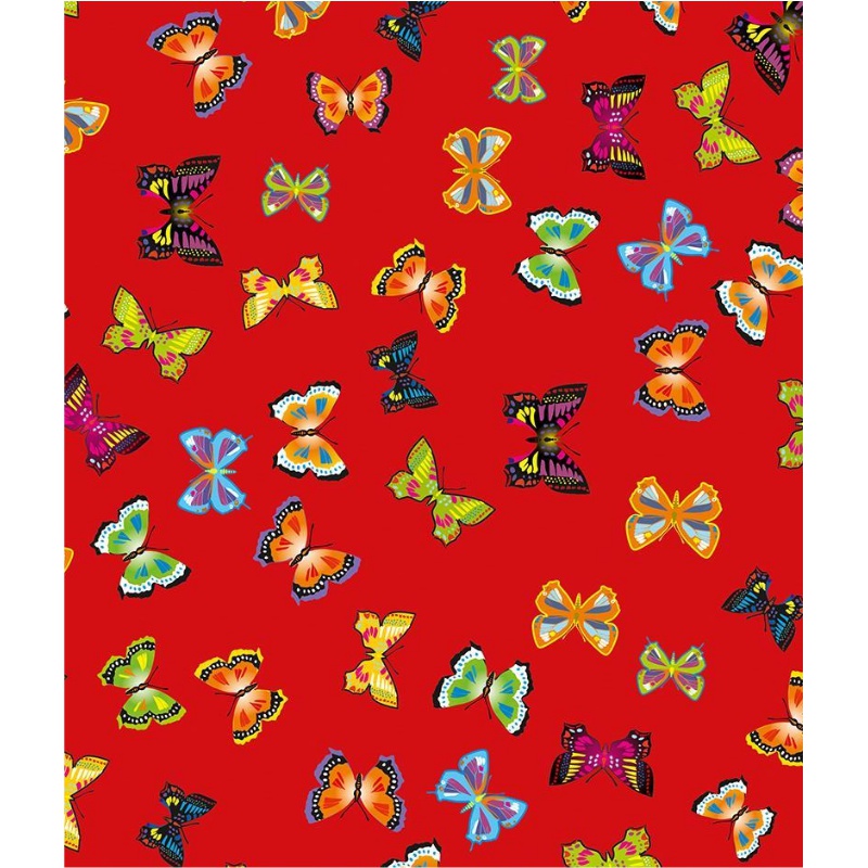 ΦΩΤΟΚΑΡΤΟΝ 50Χ70 ΠΕΤΑΛΟΥΔΕΣ