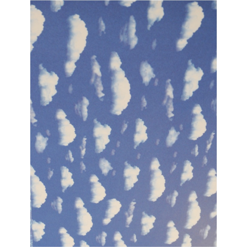 ΦΩΤΟΚΑΡΤΟΝ 50Χ70 ΣΥΝΝΕΦΑ