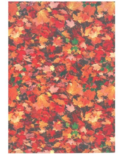 ΦΩΤΟΚΑΡΤΟΝ 50Χ70 ΦΥΛΛΑ