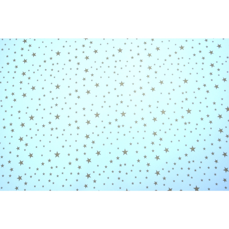 ΧΑΡΤΟΝΙΑ 50Χ70 ΑΣΤΕΡΙΑ ΛΕΥΚΟ 250 gr (χρυσά αστέρια)