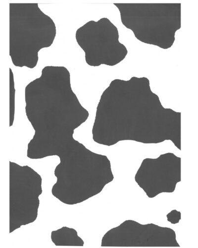 ΦΩΤΟΚΑΡΤΟΝ 50X70 ΑΝIMAL 250gr ΑΓΕΛΑΔΑ