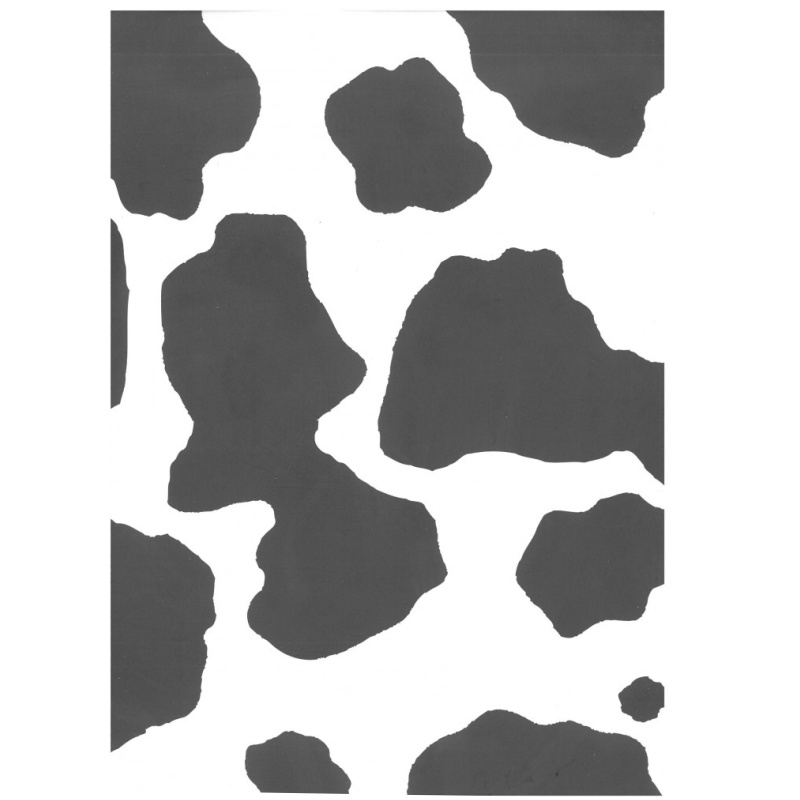 ΦΩΤΟΚΑΡΤΟΝ 50X70 ΑΝIMAL 250gr ΑΓΕΛΑΔΑ