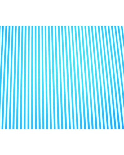 ΧΑΡΤΟΝΙΑ ΡΙΓΕ 50Χ70 250 gr ΛΕΥΚΟ ΣΙΕΛ