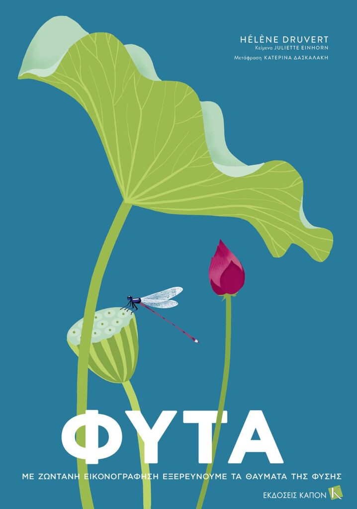 Φυτά - Με ζωντανή εικονογράφηση εξερευνούμε τα θαύματα της φύσης