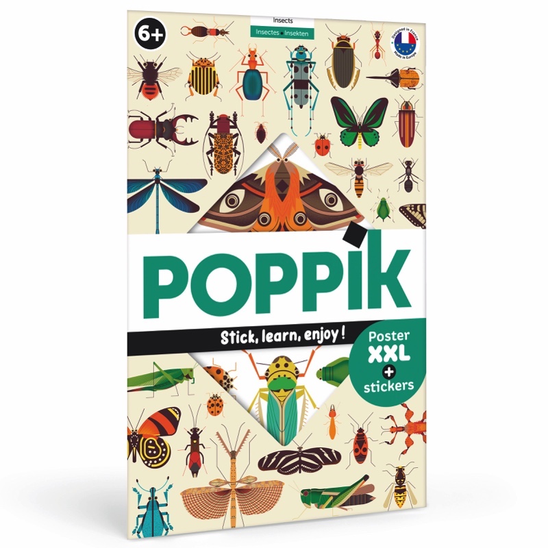 Poster Insects for kids | Learn with fun | Poppik Stickers