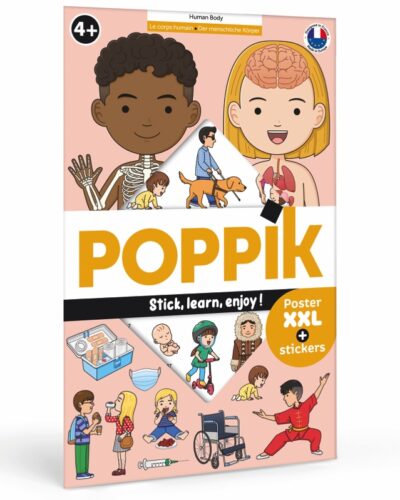 Poster Human Body | Poster and 49 Stickers for kids | Poppik Educational Games