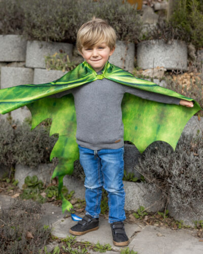 Legendary Dragon Soft Wings