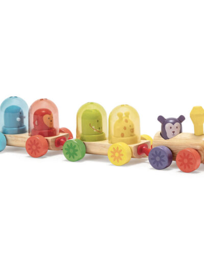Djeco Ξύλινο τρενάκι Συνδυασμοί χρωμάτων