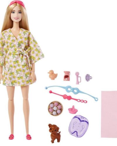 Mattel Barbie: You Can Be Anything - Self-Care Spa ID Day with Puppy Doll (HKT90)