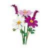 LEGO Botanicals: Λουλούδια Κόσμος (11514)