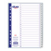 SKAG Ευρετήρια P.P. Αριθμητικά Α4 (1-20)