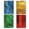 Τετράδιο Σπιράλ 17×25 Must Canvas 4 Θέματα 120 Φύλλα 4 Σxέδια